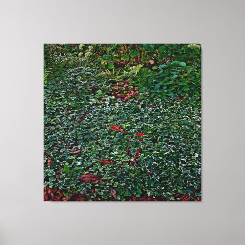 Ivy in park canvas print