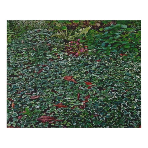 Ivy in park   faux canvas print
