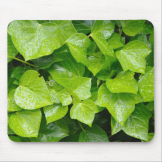 ivy in rain mouse pad