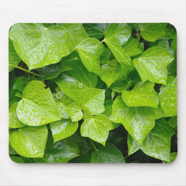 ivy in rain mouse pad (Front)