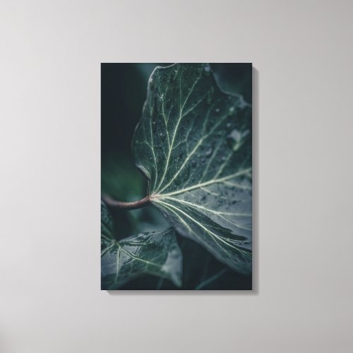 Ivy Leaf Nature Photo Canvas Print