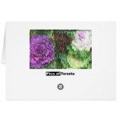 Ivy Leaques (Back Horizontal)