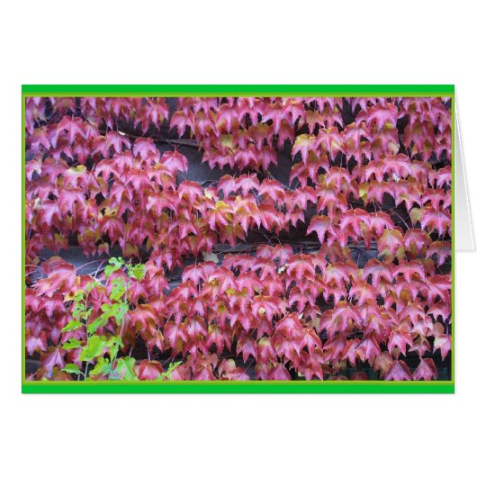 Ivy Leaques Cards (Front Horizontal)
