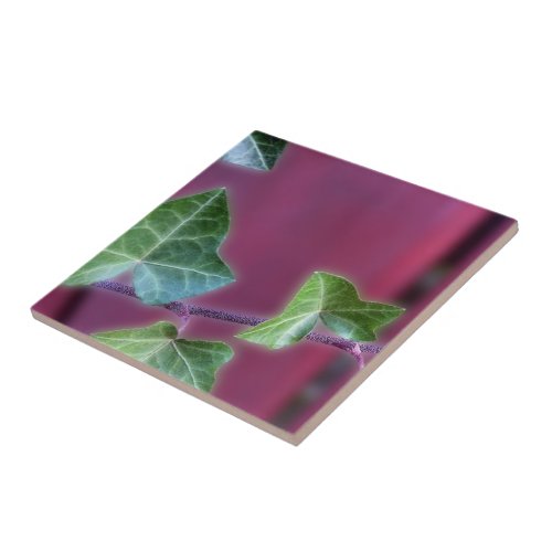 Ivy leaves ceramic tile