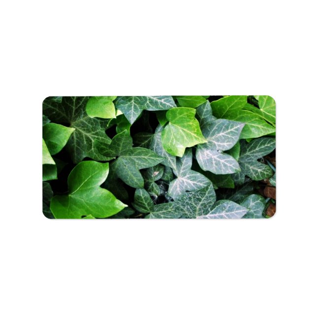 Ivy Leaves Label (Front)