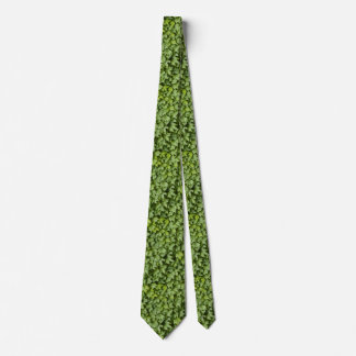 Ivy Neck Tie