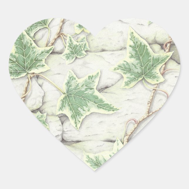Ivy on a Dry Stone Wall in Pencil Heart Stickers (Front)