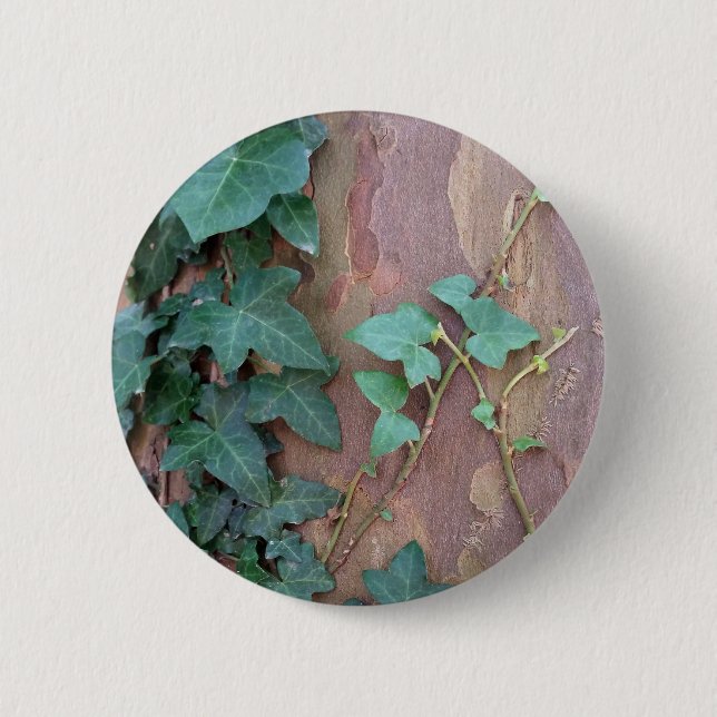 ivy on tree button (Front)