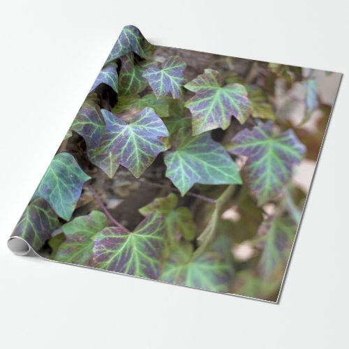 Ivy Photo Wrapping Paper
