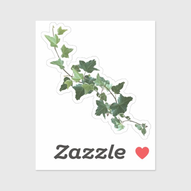 Ivy Plant Vine  Sticker (Sheet)