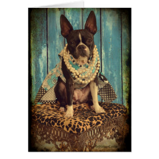 Ivy the Boston Terrier Cards