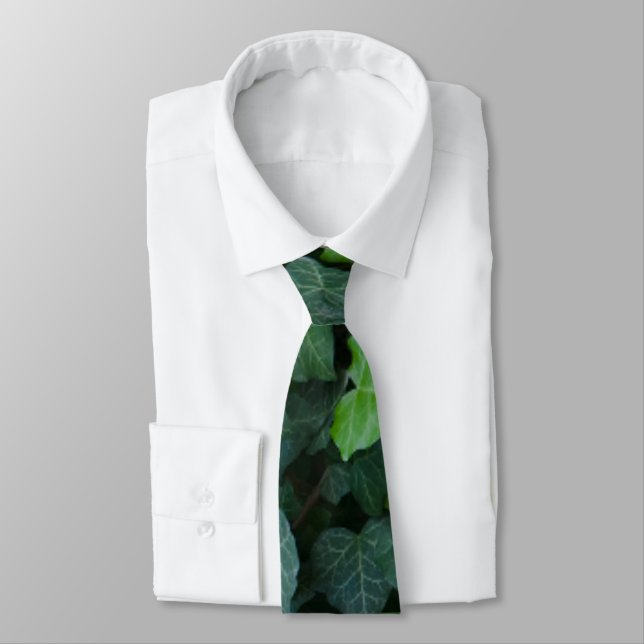 Ivy tie (Tied)