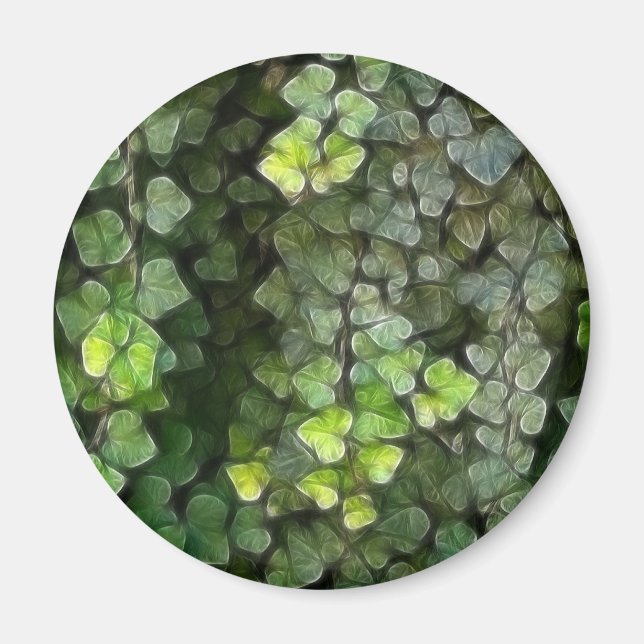 Ivy Vine 6 Magnet (Front)