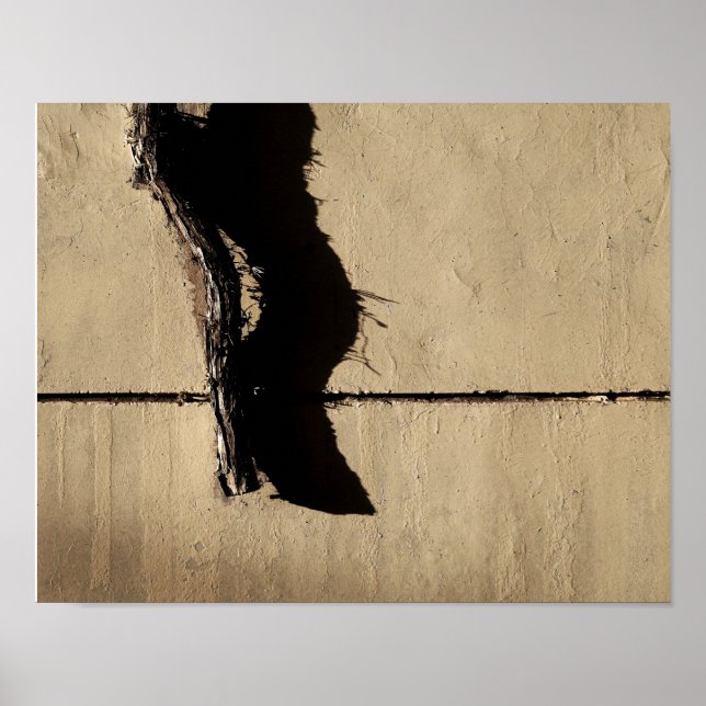Ivy Vine and Shadow Poster (Front)