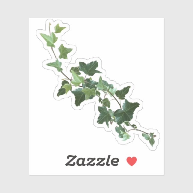 Ivy Vine Leaves  Sticker (Sheet)