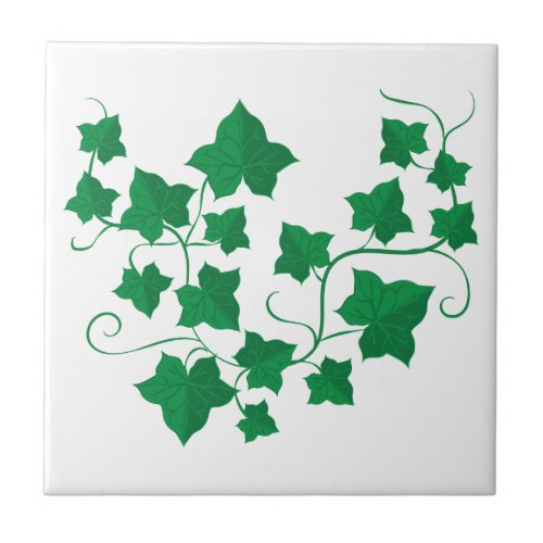 Ivy Vines Ceramic Tile