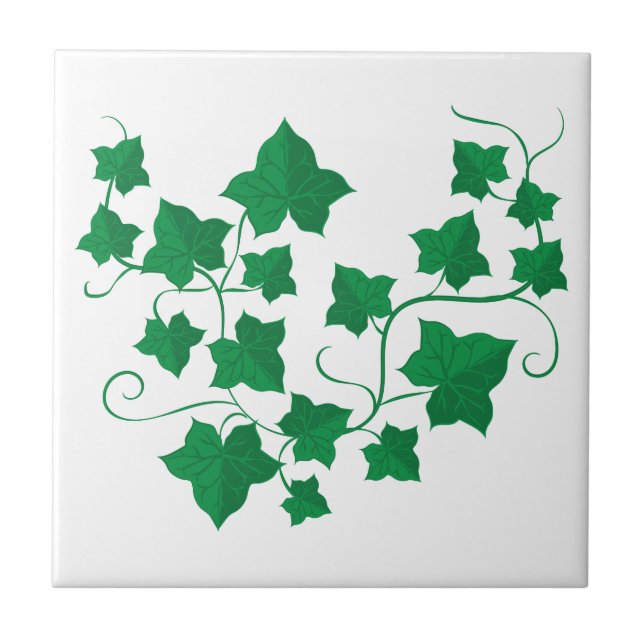 Ivy Vines Ceramic Tile (Front)