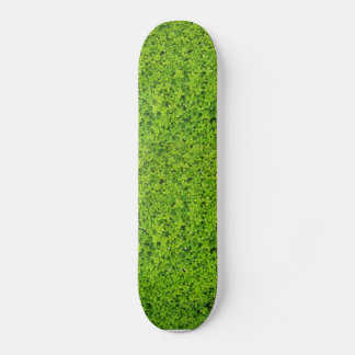 Ivy Wall Background Skateboard Deck