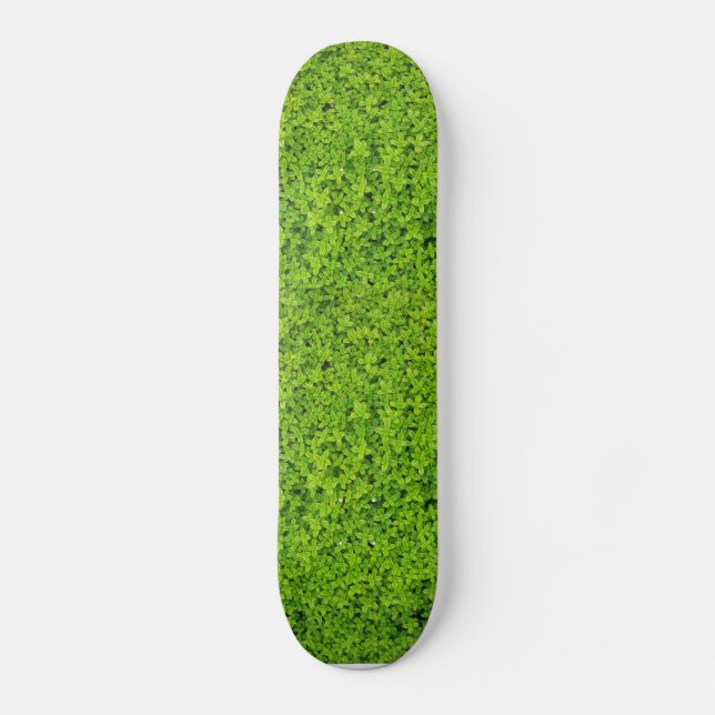 Ivy Wall Background Skateboard Deck (Front)
