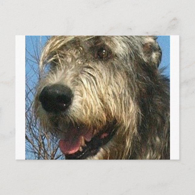 iw.png postcard (Front)