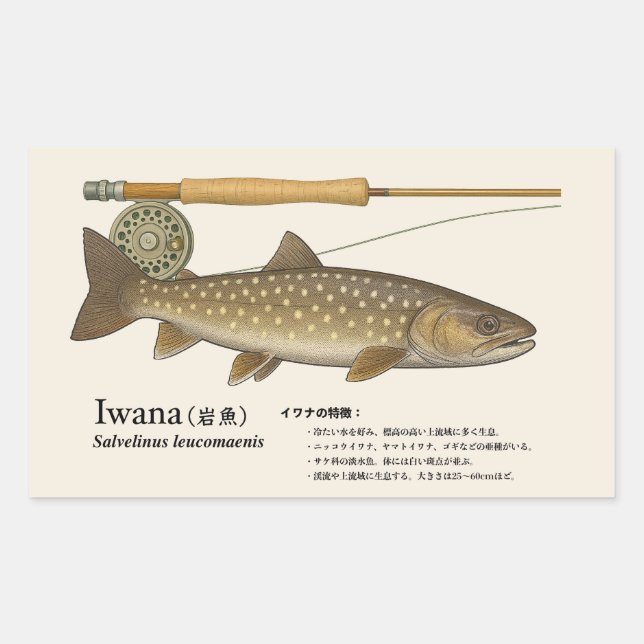 Iwana (Salvelinus leucomaenis) – Fish Illustration Rectangular Sticker (Front)