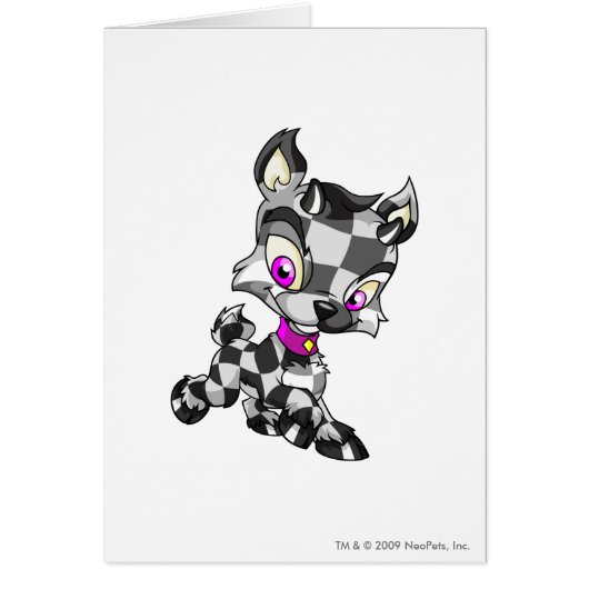 Ixi Checkered (Front)