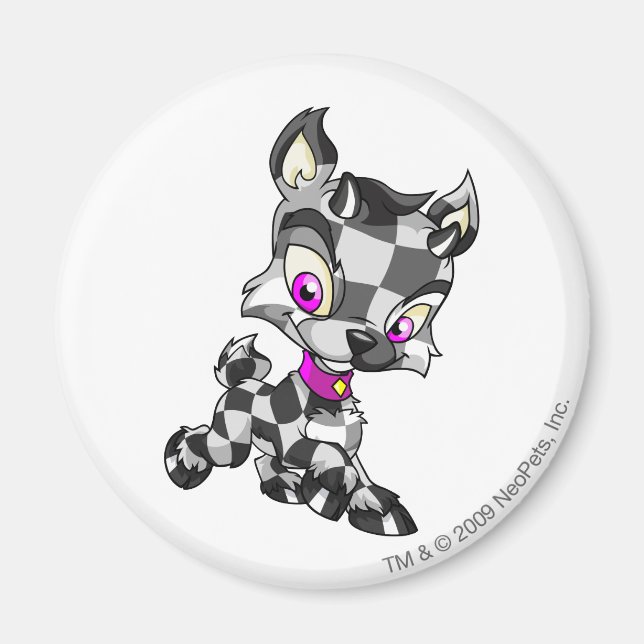 Ixi Checkered Magnet (Front)