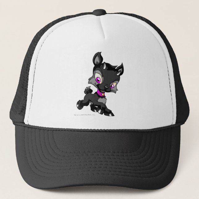Ixi Shadow Trucker Hat (Front)