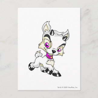 Ixi White Postcard