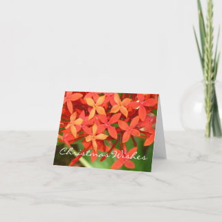 Ixora Blossoms Christmas Notecard