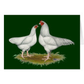 Ixworth Chickens (Front Horizontal)