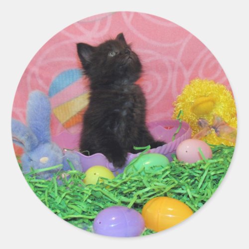 Iz Da Easter Bunny Here Yet _ Cat  Kitten Sticker