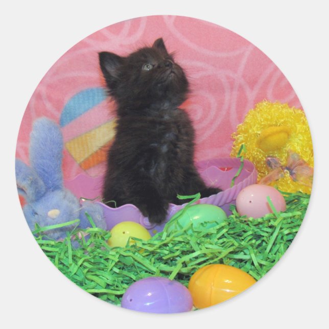 Iz Da Easter Bunny Here Yet - Cat / Kitten Sticker (Front)