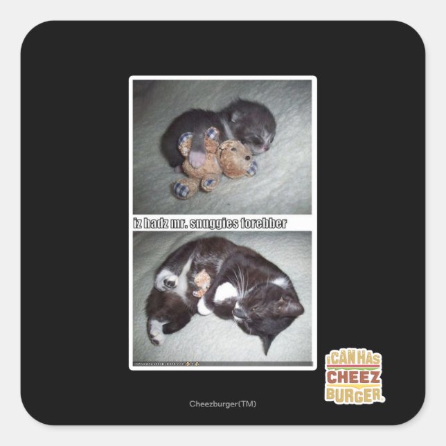 iz hadz mr. snuggies forebber square sticker (Front)
