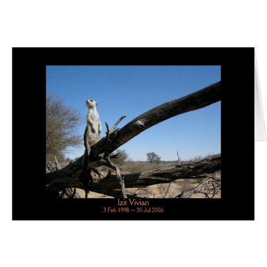 Izit - Legends Card (Front Horizontal)