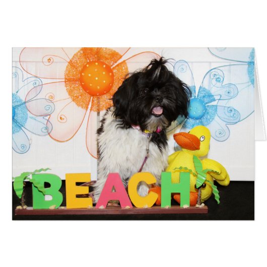 Izzy - Shih Tzu -8 Cards (Front Horizontal)