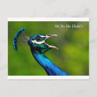 j0441090, Butterflies are free, Oh No She Didn't! Postcard