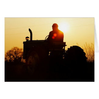 J in the Sunset Cards
