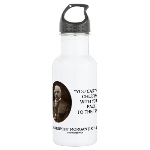 JP Morgan You Cant Pick Cherries Back To Tree Stainless Steel Water Bottle