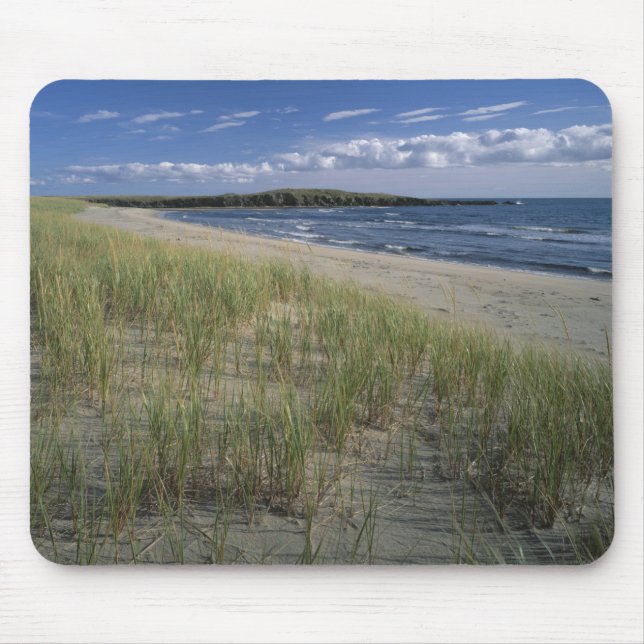 J.T. Chessman Provincial Park, Dune grass Mouse Pad (Front)