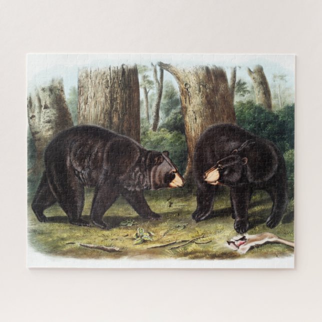 J.W. Audubon - Ursus Americanus Black Bear Jigsaw Puzzle (Horizontal)