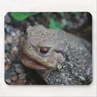 Jabba the Toad Mouse Pad