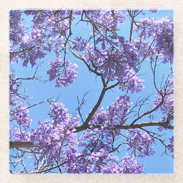 Jacaranda Blossoms Glass Coaster (Front)
