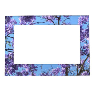 Jacaranda Blossoms Magnetic Frame