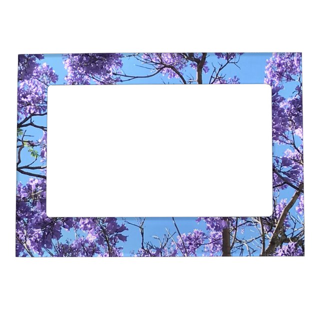 Jacaranda Blossoms Magnetic Frame (Front)