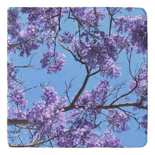 Jacaranda Blossoms Trivet