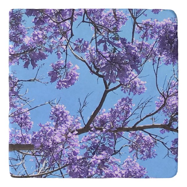 Jacaranda Blossoms Trivet (Front)