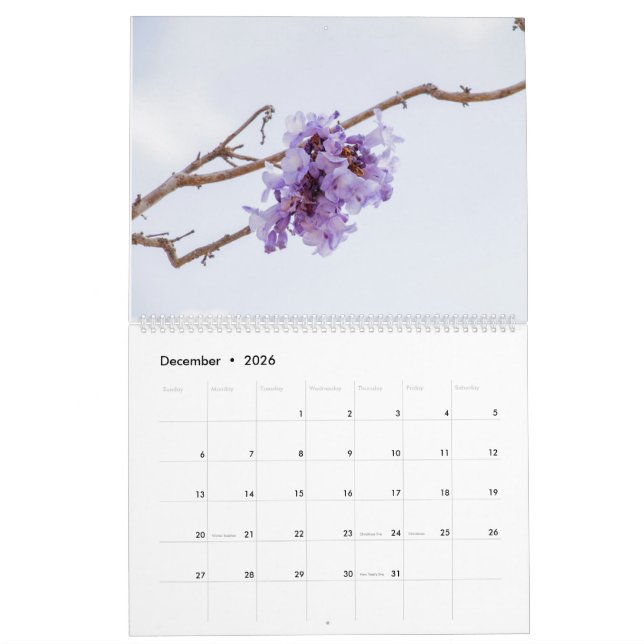 Jacaranda Flower Calendar (Dec 2026)