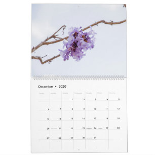 Jacaranda Flower Calendar
