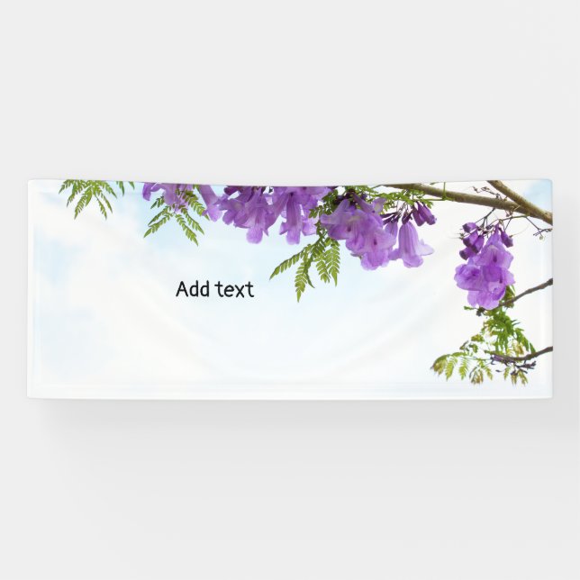 Jacaranda Purple flowers blooming Banner (Horizontal)